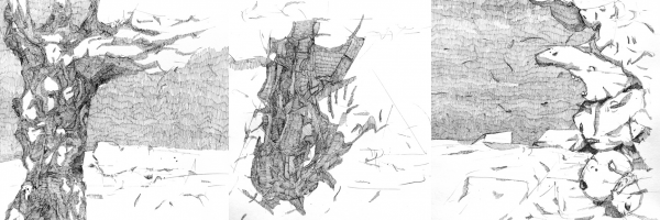 martin bozenhard - zarter riss im gefüge der vernunft - zusammen - drawing - ink - 20cm x 20cm
